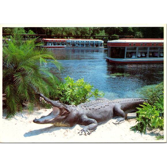 None and/or Unknown Other - Florida's Silver Springs Big George Camera Location Vintage Postcard SPK29